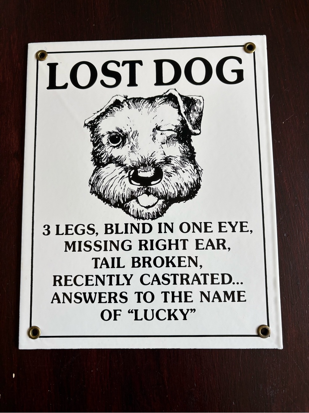 Humorous Metal LOST DOG Sign